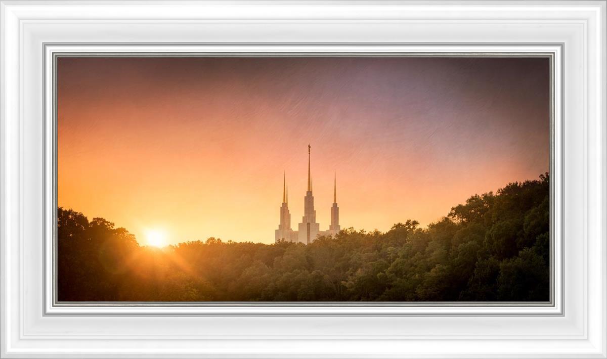 Washington DC Sunset Gold