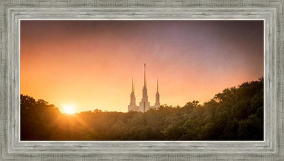 Washington DC Sunset Gold