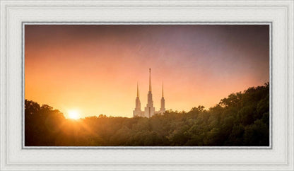 Washington DC Sunset Gold