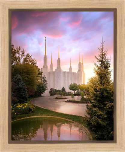 Washington DC Reflections Into Eternity