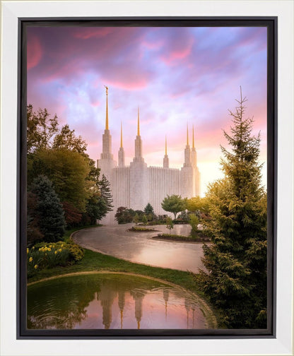 Washington DC Reflections Into Eternity