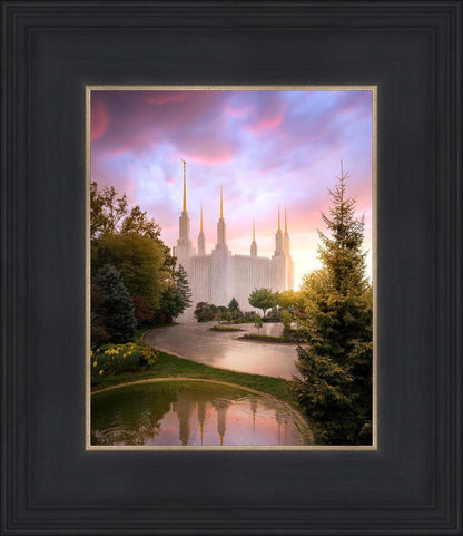 Washington DC Reflections Into Eternity