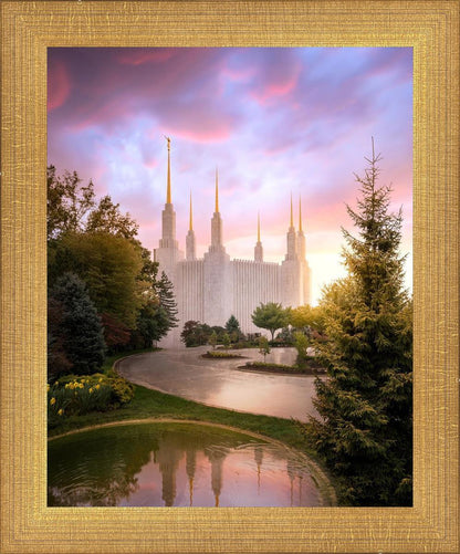 Washington DC Reflections Into Eternity