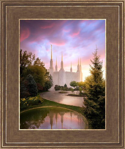 Washington DC Reflections Into Eternity