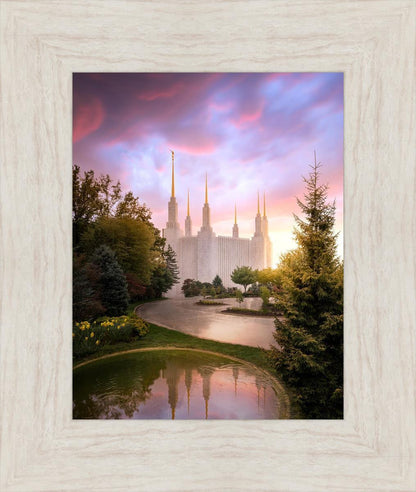 Washington DC Reflections Into Eternity