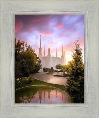 Washington DC Reflections Into Eternity