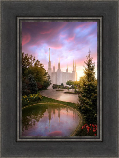 Washington DC Reflections Into Eternity