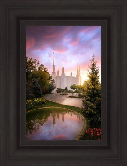 Washington DC Reflections Into Eternity