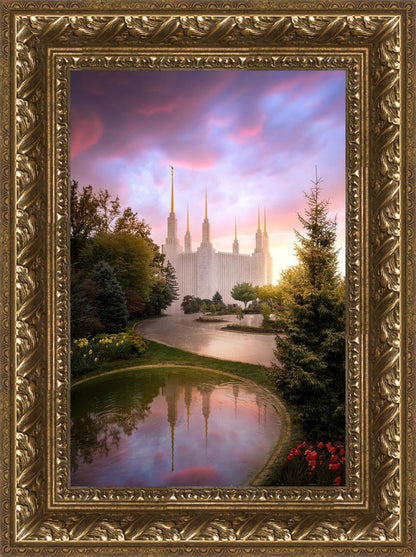 Washington DC Reflections Into Eternity