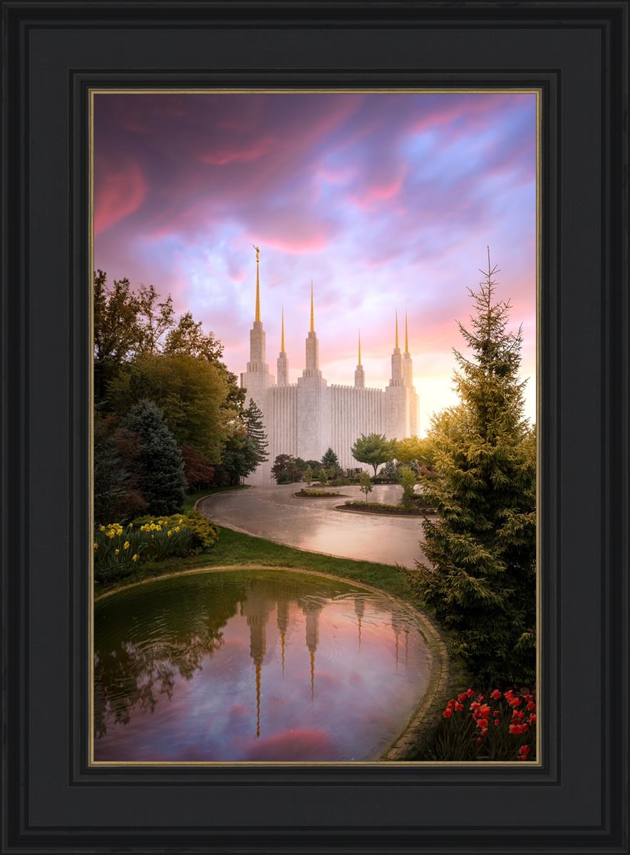 Washington DC Reflections Into Eternity