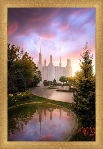 Washington DC Reflections Into Eternity