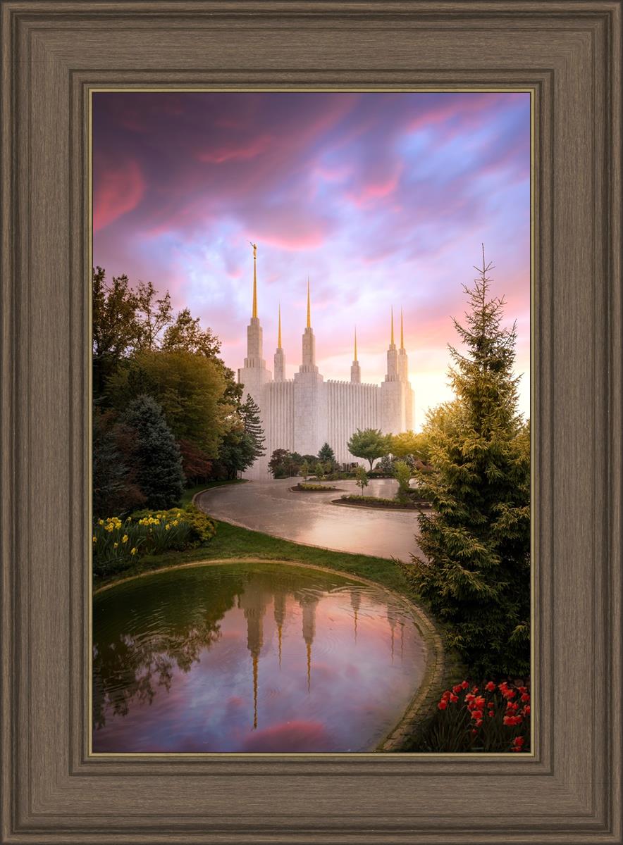 Washington DC Reflections Into Eternity