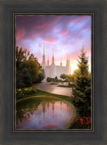 Washington DC Reflections Into Eternity