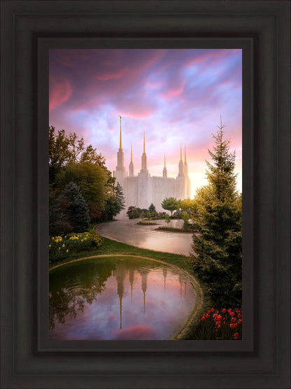 Washington DC Reflections Into Eternity