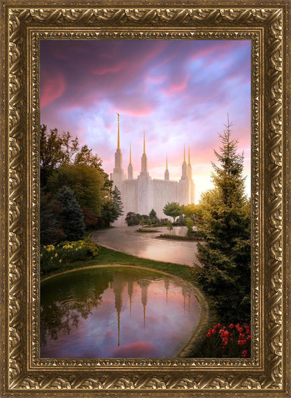 Washington DC Reflections Into Eternity