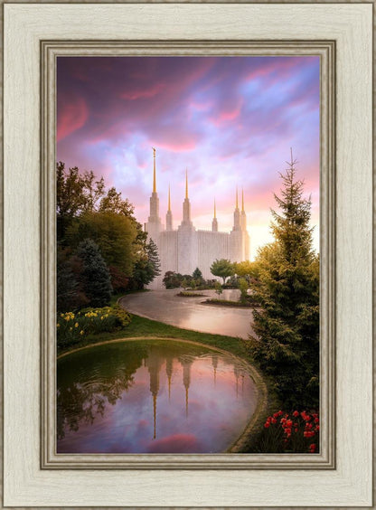 Washington DC Reflections Into Eternity