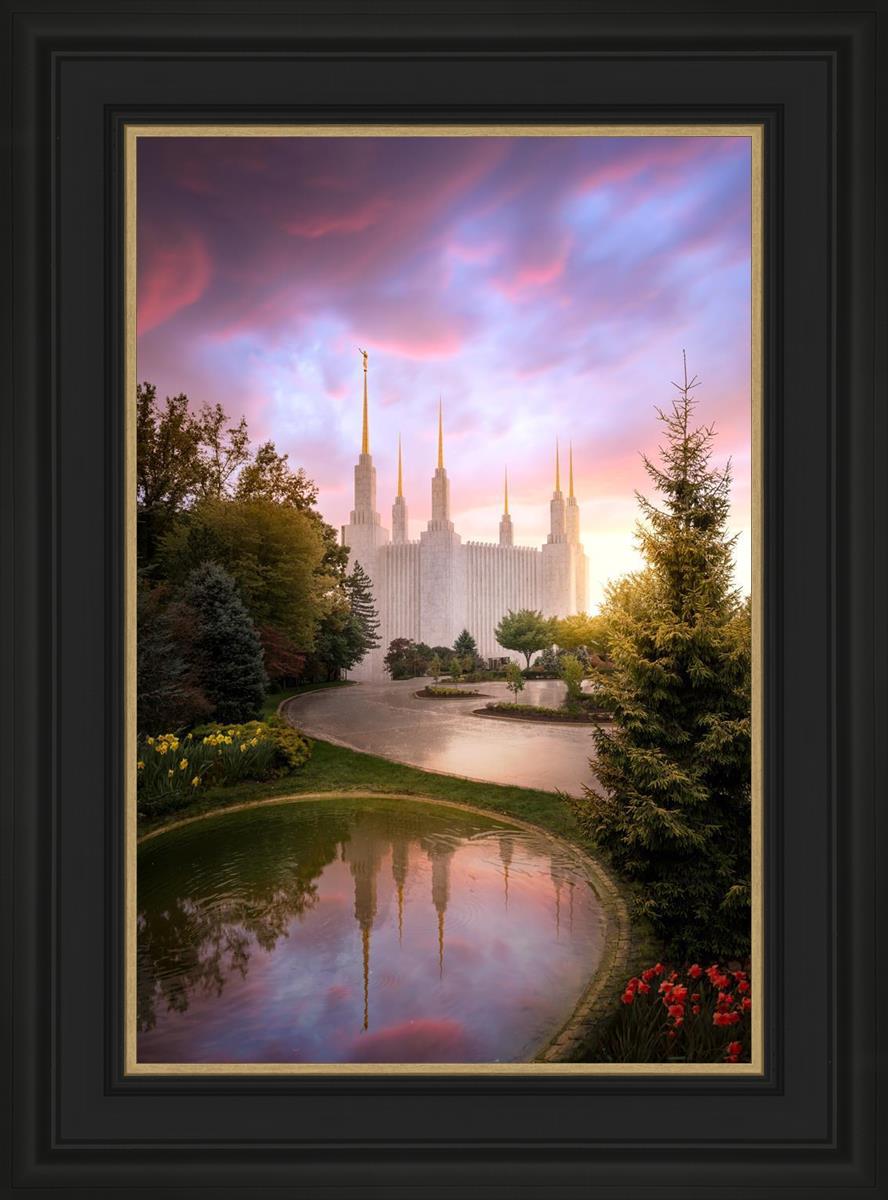 Washington DC Reflections Into Eternity