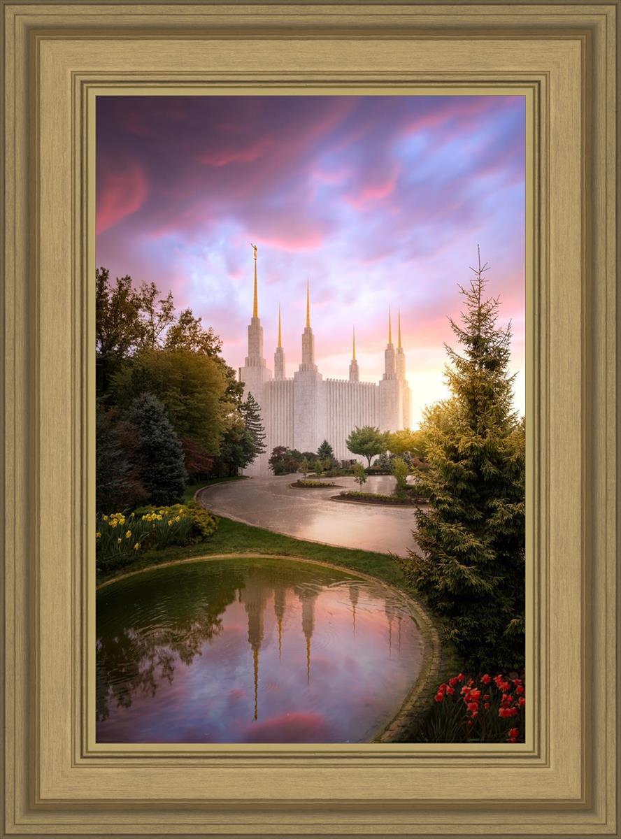 Washington DC Reflections Into Eternity