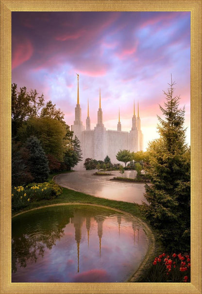 Washington DC Reflections Into Eternity