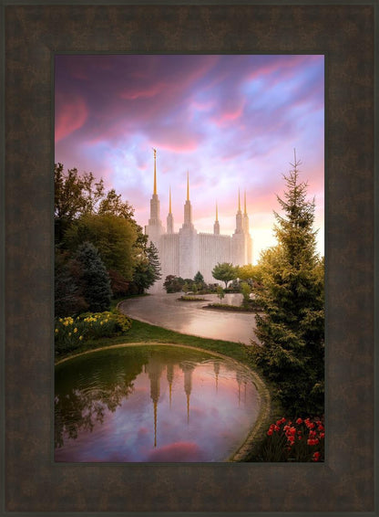 Washington DC Reflections Into Eternity