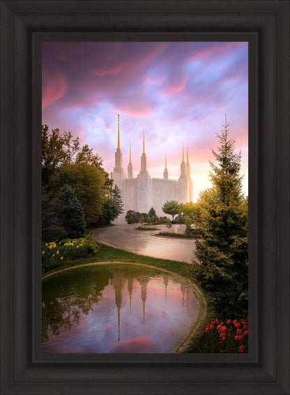 Washington DC Reflections Into Eternity