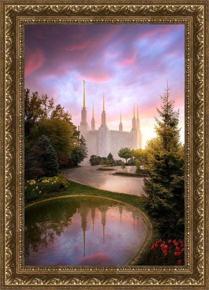 Washington DC Reflections Into Eternity