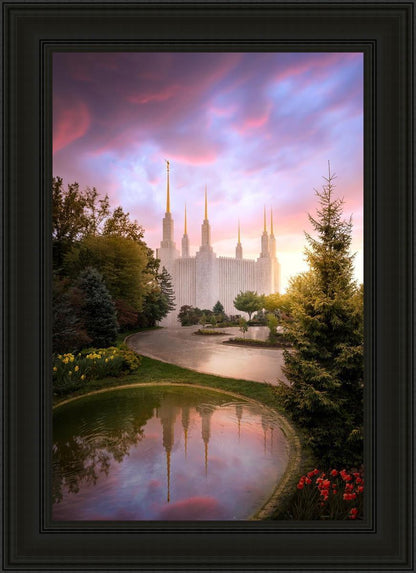 Washington DC Reflections Into Eternity