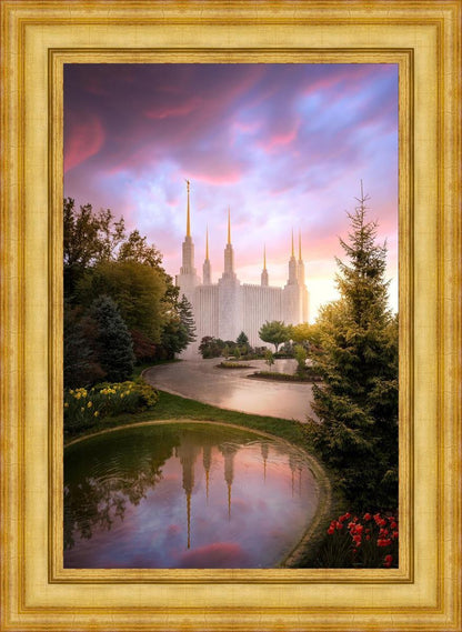 Washington DC Reflections Into Eternity