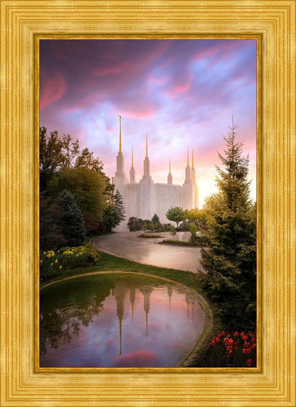 Washington DC Reflections Into Eternity