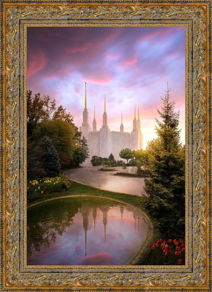 Washington DC Reflections Into Eternity