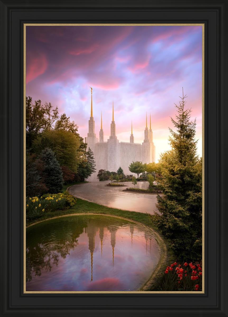 Washington DC Reflections Into Eternity