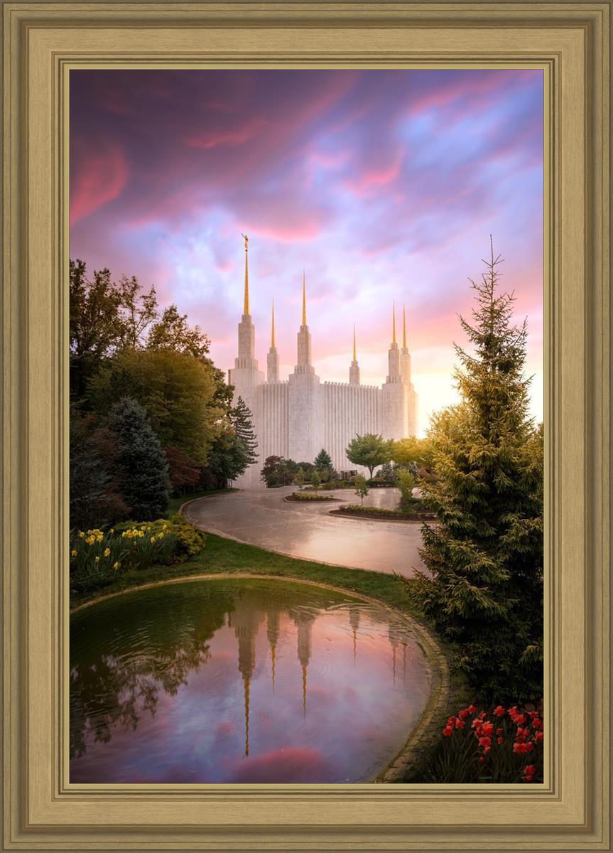 Washington DC Reflections Into Eternity