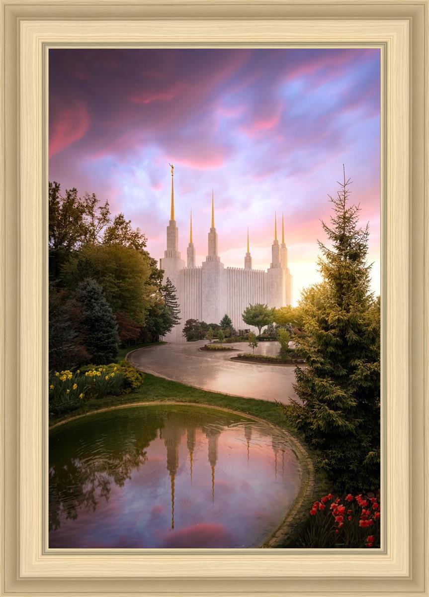 Washington DC Reflections Into Eternity