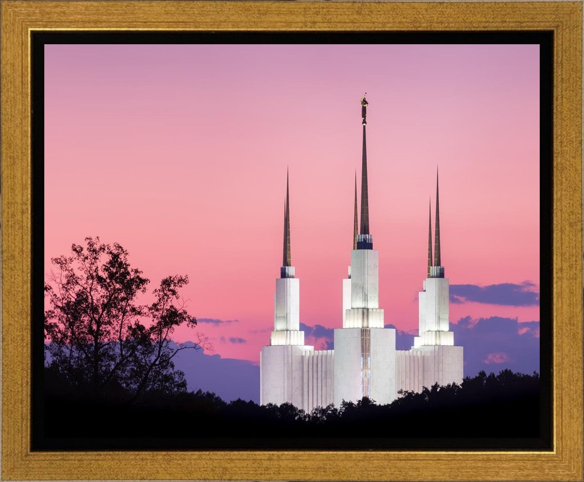 Washington DC Sunset Glow Panorama Gallery Wrap