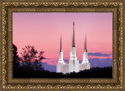 Washington DC Sunset Glow Panorama