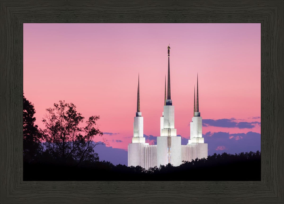 Washington DC Sunset Glow Panorama