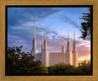 Washington DC Last Sunset