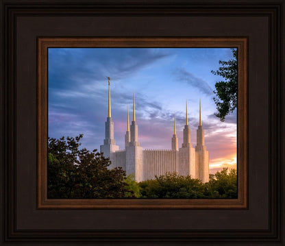 Washington DC Last Sunset