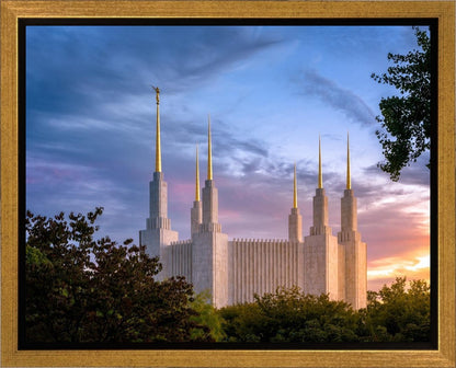 Washington DC Last Sunset