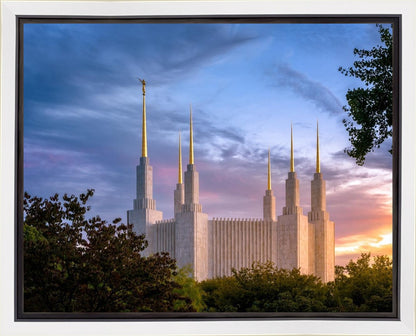 Washington DC Last Sunset