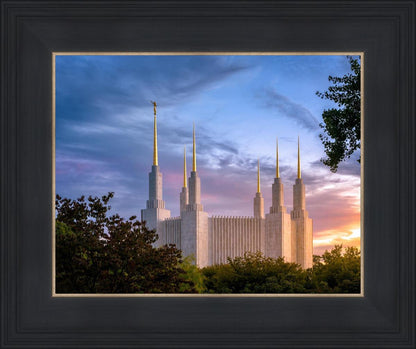 Washington DC Last Sunset