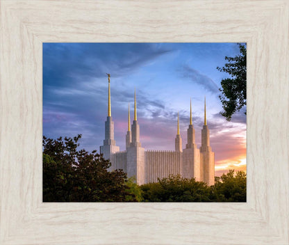 Washington DC Last Sunset