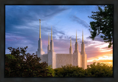 Washington DC Last Sunset