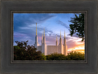 Washington DC Last Sunset