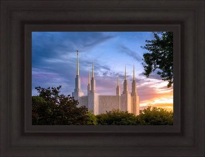 Washington DC Last Sunset