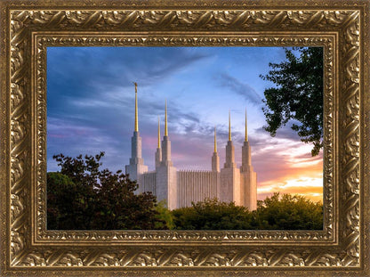 Washington DC Last Sunset