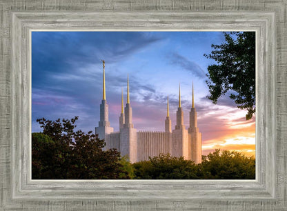 Washington DC Last Sunset