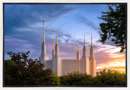 Washington DC Last Sunset