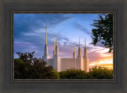 Washington DC Last Sunset