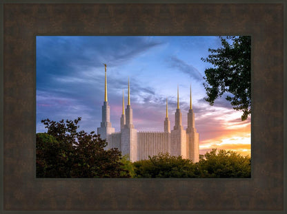 Washington DC Last Sunset